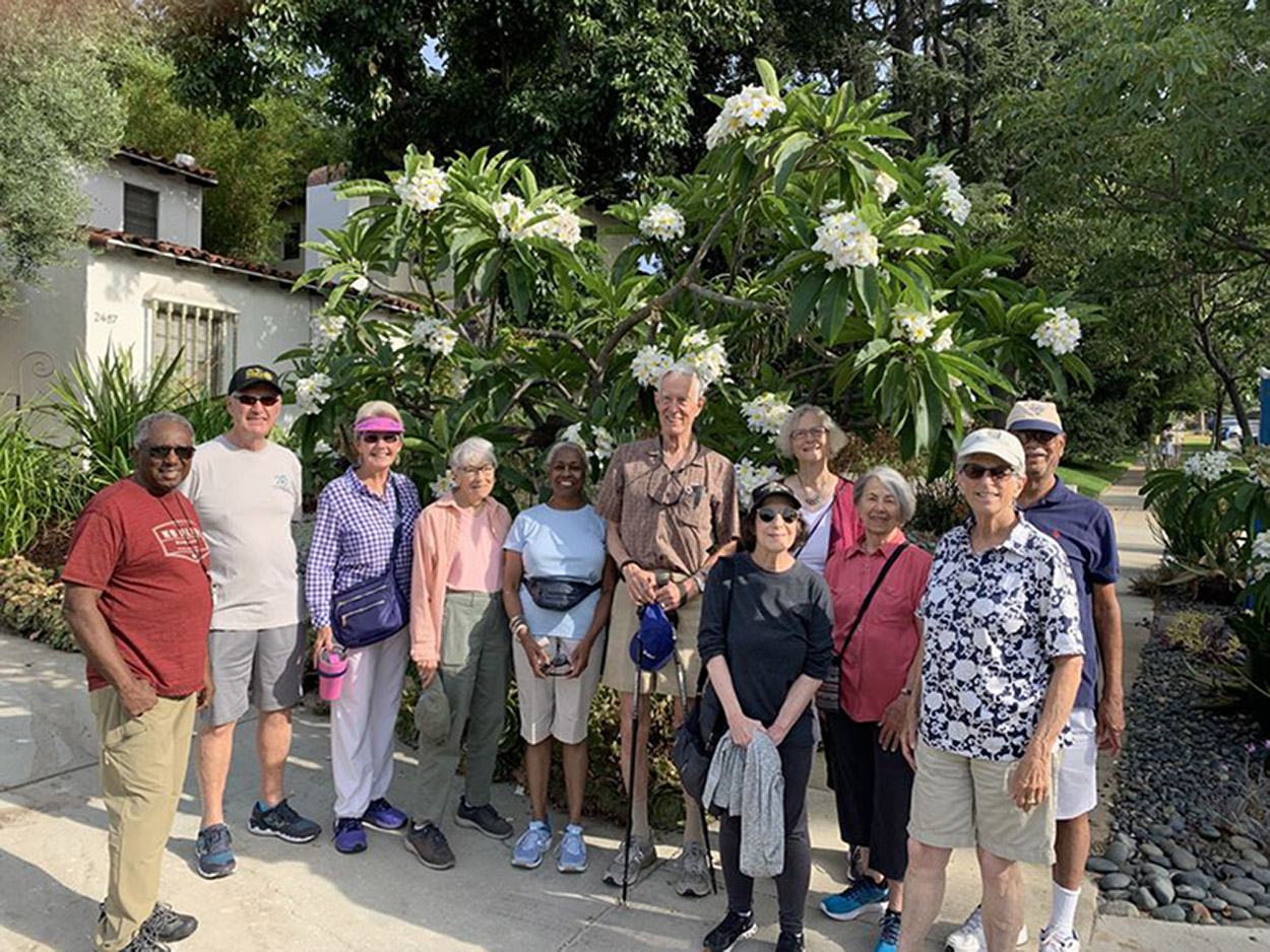 a group of older adults standing in front of tree with white flowers in a neighborhood