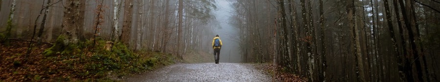 Single person walking down a foggy path.